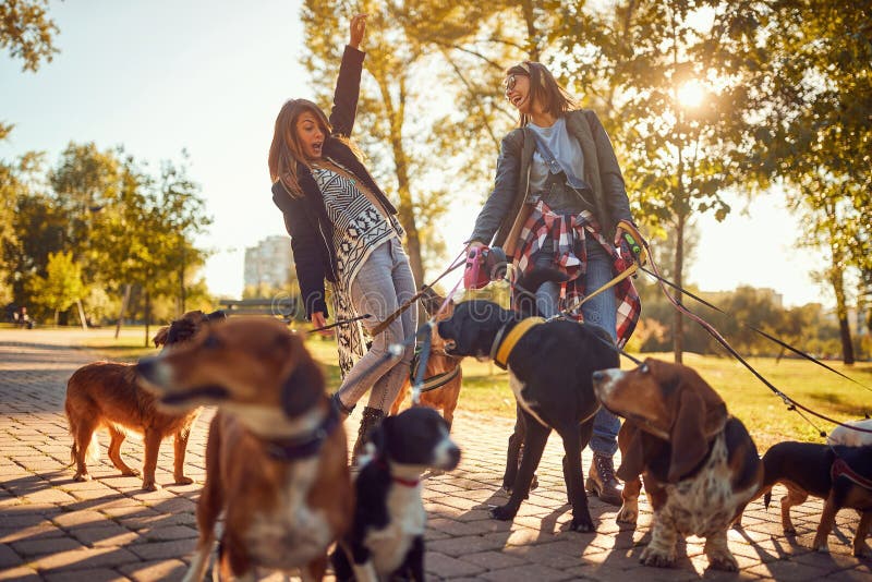 Meninas que apreciam com cães ao andar fora imagens de stock Meninas que apreciam com cães ao andar fora imagens de stock