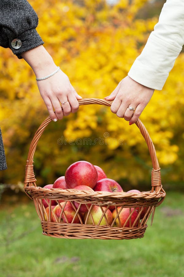 Meninas que guardam uma cesta imagens de stock royalty free Meninas que guardam uma cesta imagens de stock royalty free