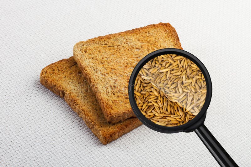 View through a magnifying glass to two toast bread on the table. Wheat. View through a magnifying glass to two toast bread on the table. Wheat.