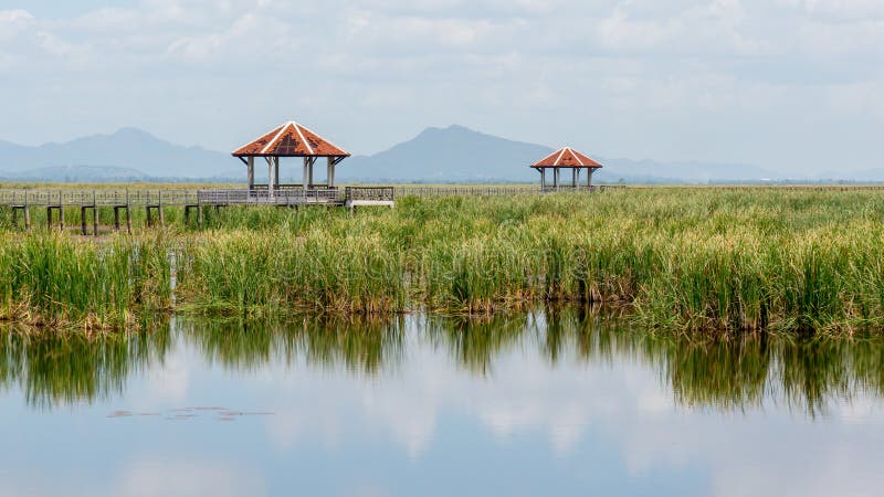 Mening Sam Roi Yod National Park Prachuap Khiri Khan Province stock fotografie Mening Sam Roi Yod National Park Prachuap Khiri Khan Province stock fotografie
