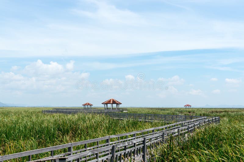 Mening Sam Roi Yod National Park Prachuap Khiri Khan Province stock afbeeldingen Mening Sam Roi Yod National Park Prachuap Khiri Khan Province stock afbeeldingen