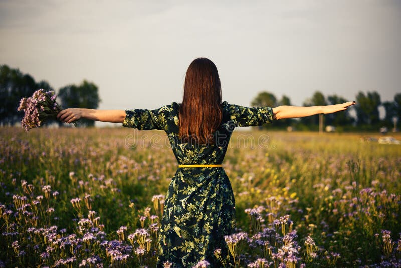 Mening van de rug van een vrouwenbrunette met een boeket van purpere bloemen op een bloemgebied in de zonsondergang, vrijheid, dr stock fotografie Mening van de rug van een vrouwenbrunette met een boeket van purpere bloemen op een bloemgebied in de zonsondergang, vrijheid, dr stock fotografie
