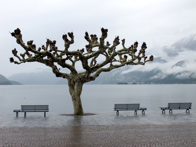 Mening van meer Maggiore in Ascona stock afbeeldingen Mening van meer Maggiore in Ascona stock afbeeldingen