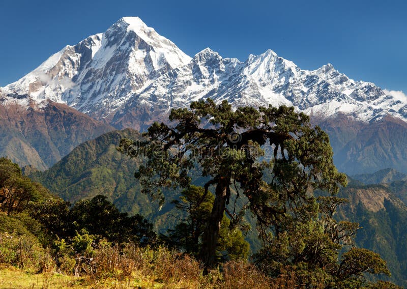 Mening van onderstel Dhaulagiri stock foto's Mening van onderstel Dhaulagiri stock foto's
