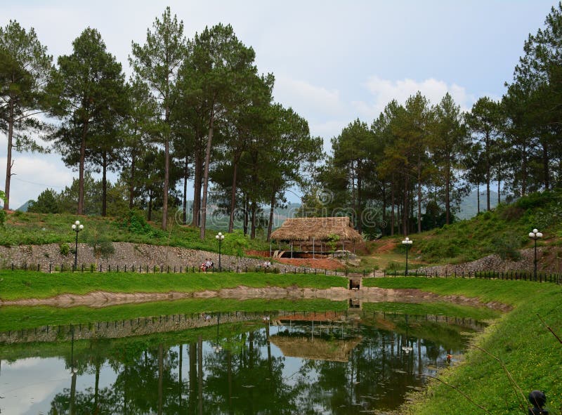 Mening van park met vele bomen en bergachtergrond royalty-vrije stock afbeeldingen Mening van park met vele bomen en bergachtergrond royalty-vrije stock afbeeldingen