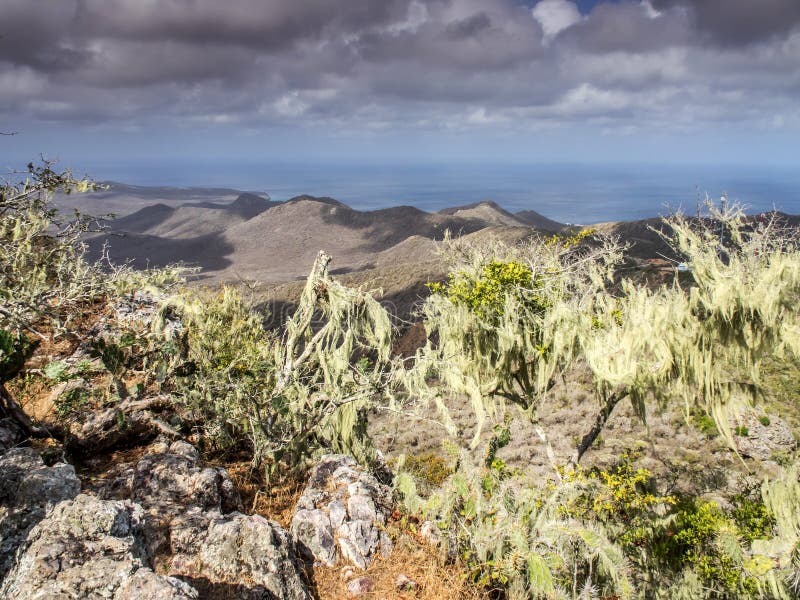 Uitzicht vanaf de top royalty-vrije stock foto's