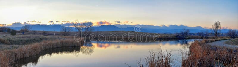 Meningen die van Josh’s-Vijver het lopen weg, op Zonsondergang die in Broomfield Colorado wijzen door Cattails wordt omringd, v stock fotografie Meningen die van Josh’s-Vijver het lopen weg, op Zonsondergang die in Broomfield Colorado wijzen door Cattails wordt omringd, v stock fotografie