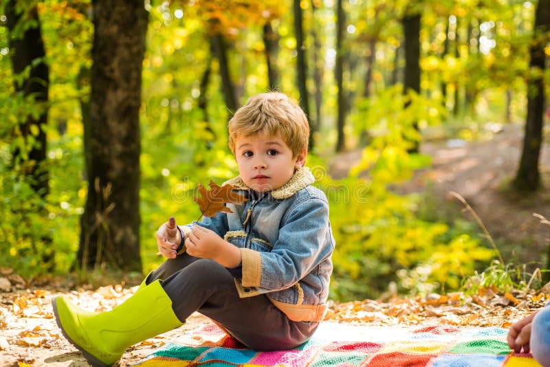 Urso Pequeno Na Floresta Do Outono. Jogo Educativo Para Crianças