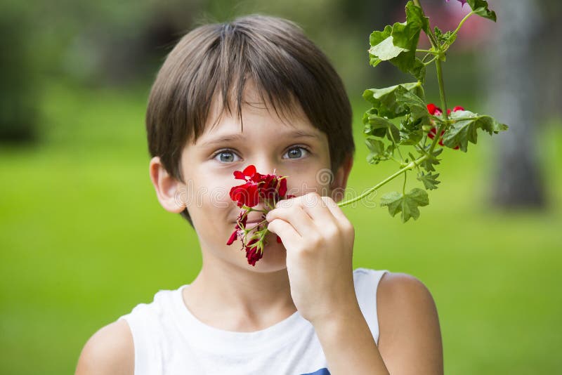 Menino que cheira uma flor imagens de stock Menino que cheira uma flor imagens de stock