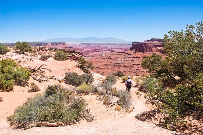 Mens die alleen in Canyonlands Utah wandelen stock fotografie Mens die alleen in Canyonlands Utah wandelen stock fotografie