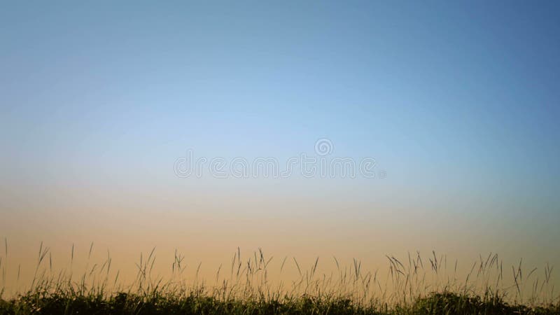 Mens die in Blazend Grassilhouet lopen