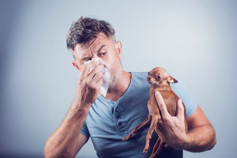 Mens die de symptomen van de huisdierenallergie hebben: lopende neus, astma
