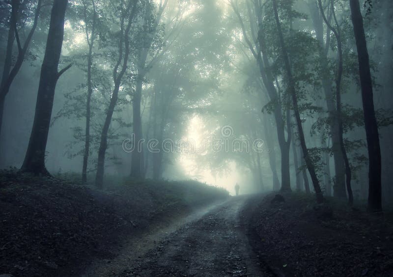 Mens die in een groen bos met mist loopt stock afbeelding Mens die in een groen bos met mist loopt stock afbeelding