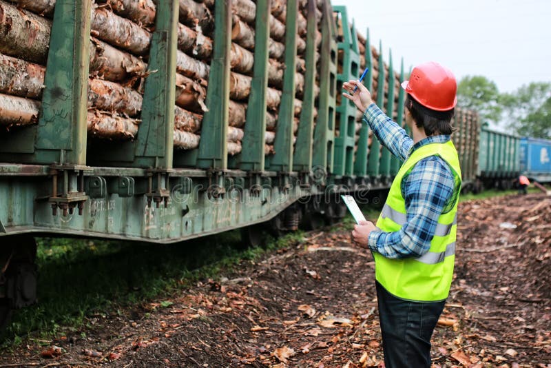 Download Mens In Het Houten Timmerhout Van De Helmarbeider Stock Afbeelding - Afbeelding bestaande uit menselijk, houthakker: 107708445