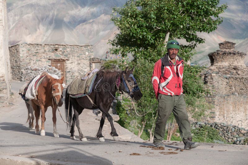 Mens met paarden, dorpsbewoner in de berggebied van Ladakh India royalty-vrije stock fotografie Mens met paarden, dorpsbewoner in de berggebied van Ladakh India royalty-vrije stock fotografie