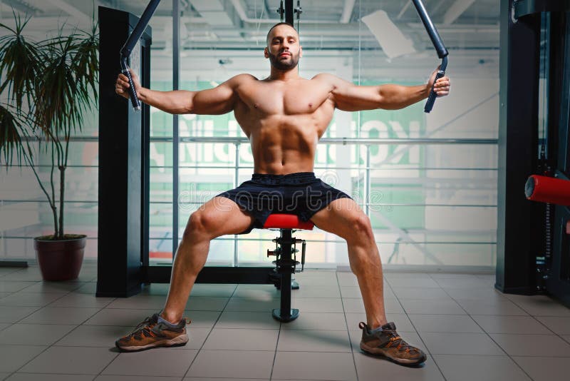 Mens op de machine van de wapenpers Bodybuilder die met spiertorso op een gymnastiekachtergrond uitwerken Het concept van de spor stock foto's Mens op de machine van de wapenpers Bodybuilder die met spiertorso op een gymnastiekachtergrond uitwerken Het concept van de spor stock foto's