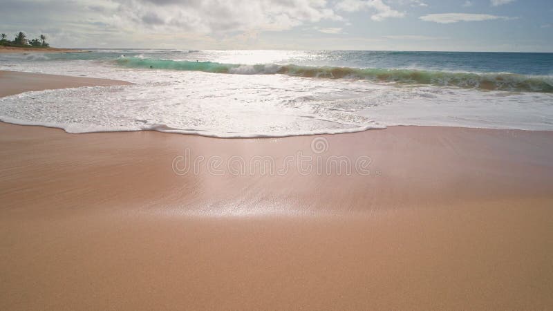 Menschen schwimmen im Meer. gelber Sand am Sandstrand auf der tropischen Insel Oahu hawaii. türkisfarben