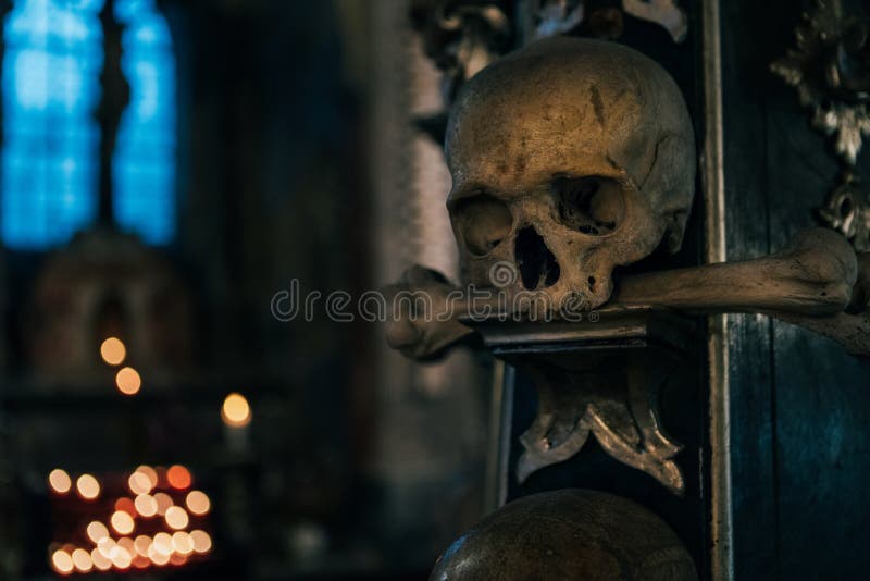 Menschenschädel in der Dunkelheit mit Blaulichtfenster-Hintergrundstillleben Grausigkeitsplatz-Konzeptbild stockbild Menschenschädel in der Dunkelheit mit Blaulichtfenster-Hintergrundstillleben Grausigkeitsplatz-Konzeptbild stockbild