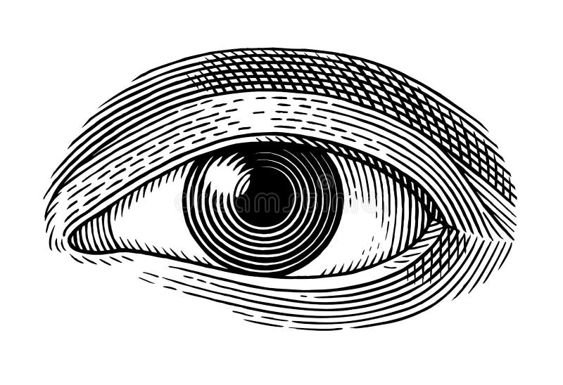 Menschliches Auge stock abbildung Menschliches Auge stock abbildung