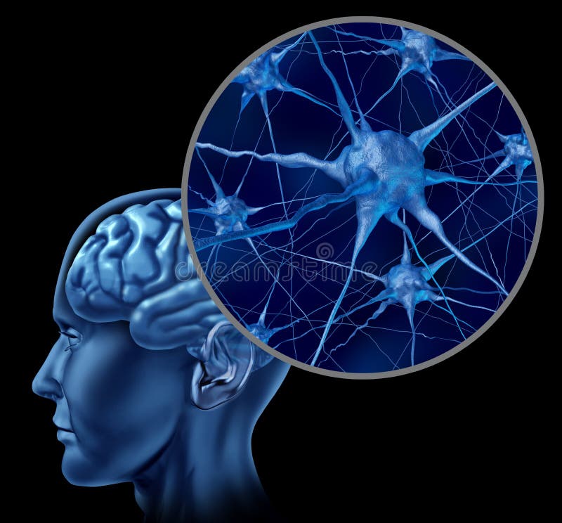 Menschliches Gehirn mit Abschluss oben der aktiven Neuronen