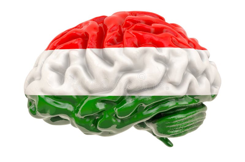Menschliches Gehirn mit der ungarischen Flagge Wissenschaftliche Forschung und Bildung in Ungarn-Konzept, Reproduktion 3D.