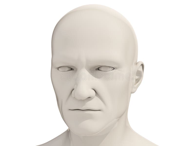 Menselijk geïsoleerd hoofd stock illustratie