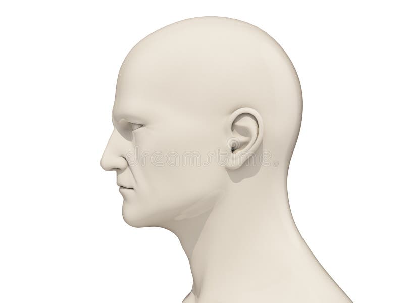 Menselijk hoofd geïsoleerd stock illustratie