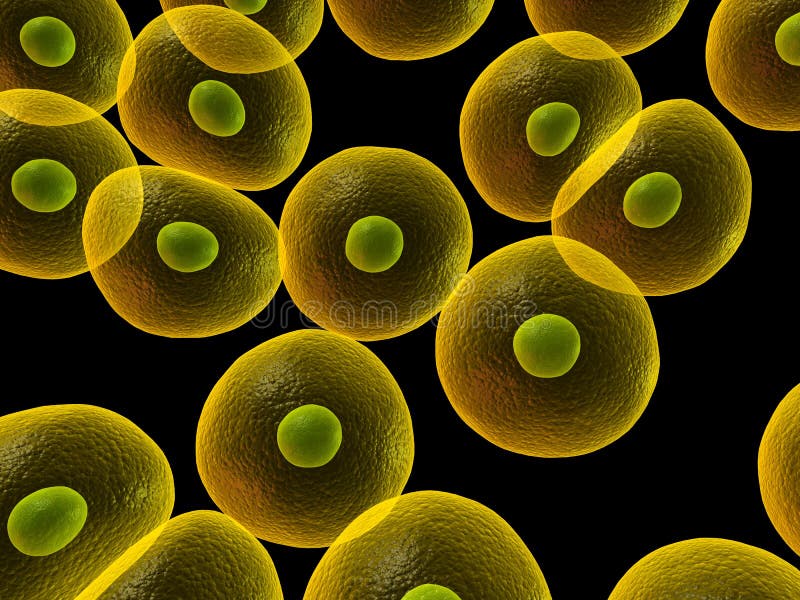 Menselijke cellen stock illustratie