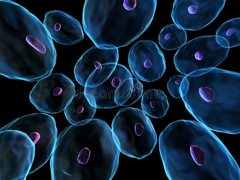 Menselijke cellen royalty-vrije illustratie