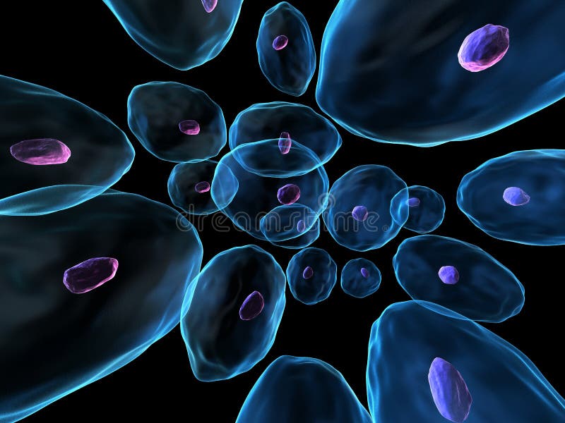 Menselijke cellen stock illustratie