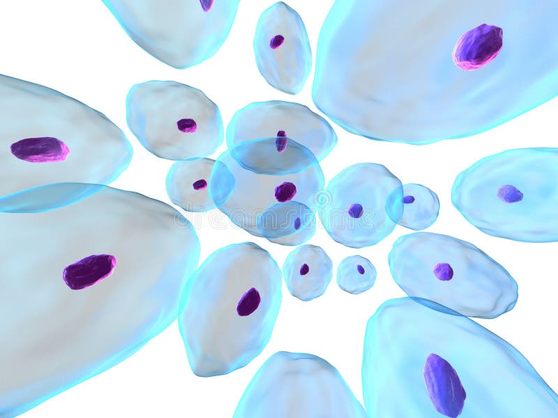 Menselijke cellen stock illustratie