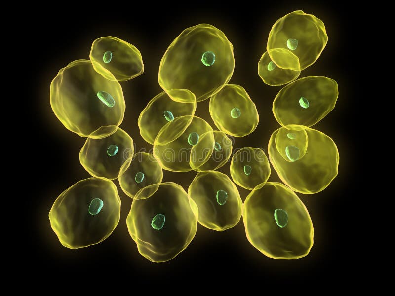 Menselijke cellen vector illustratie