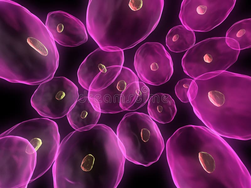 Menselijke cellen royalty-vrije illustratie