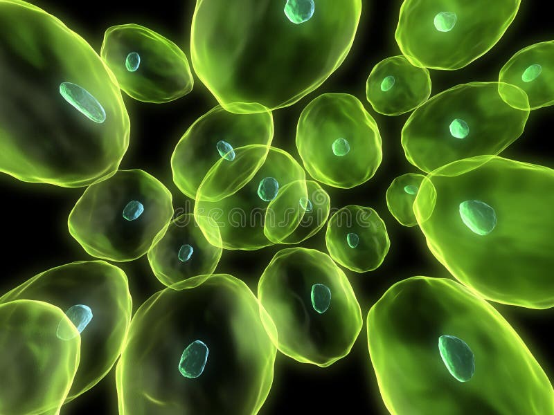 Menselijke cellen royalty-vrije illustratie