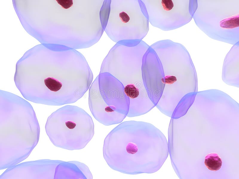 Menselijke cellen royalty-vrije illustratie