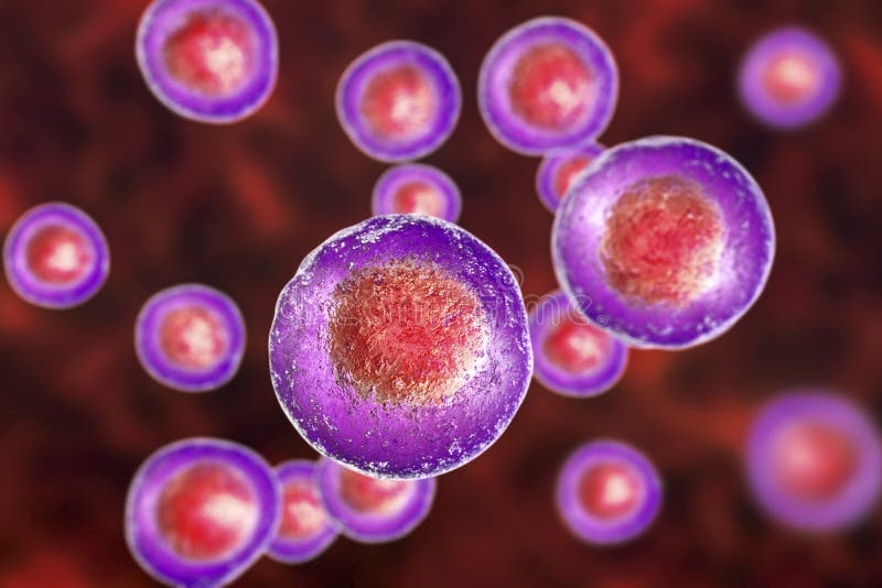 Menselijke cellen, illustratie vector illustratie