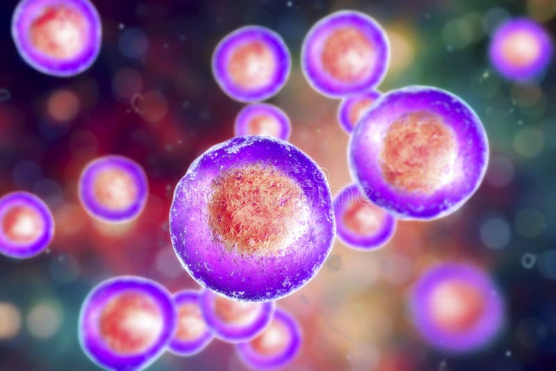 Menselijke cellen, illustratie royalty-vrije illustratie