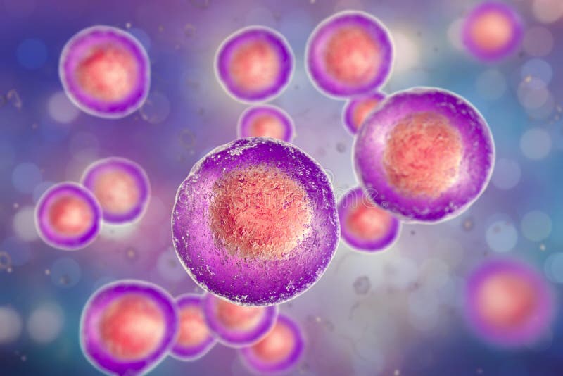 Menselijke cellen, illustratie vector illustratie