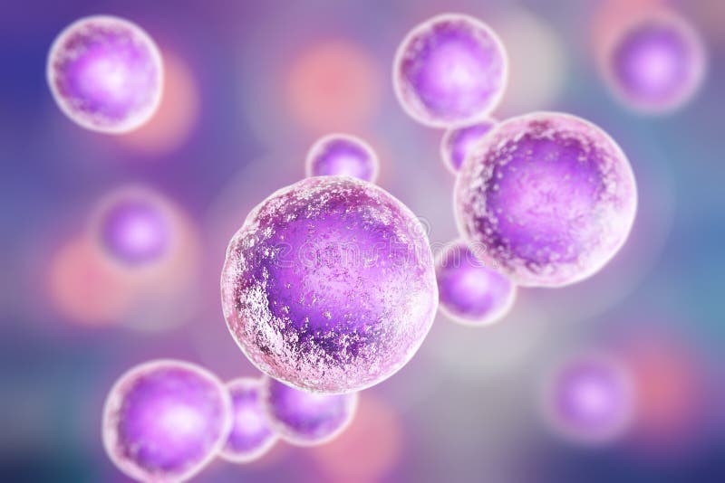 Menselijke cellen, illustratie royalty-vrije illustratie