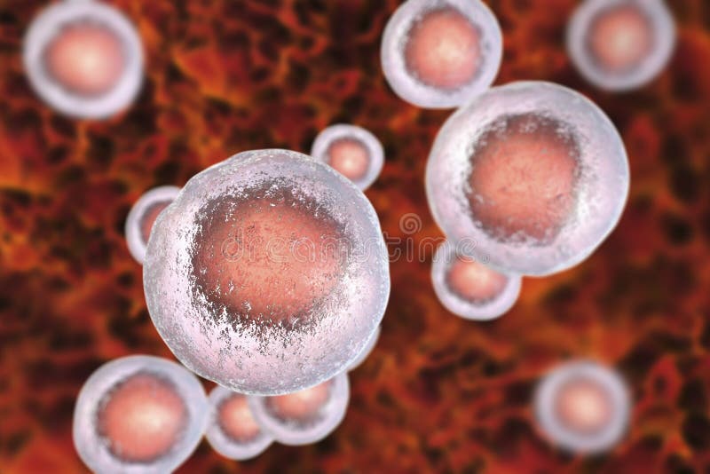 Menselijke cellen, illustratie royalty-vrije illustratie