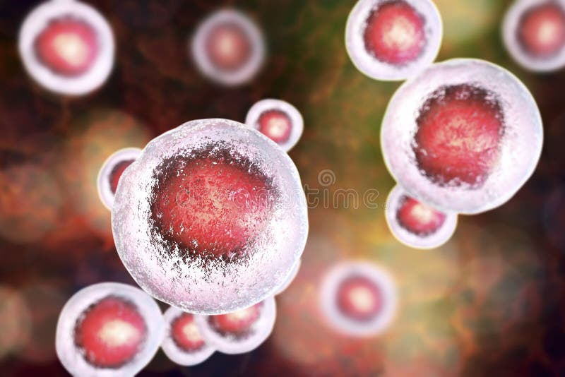 Menselijke cellen, illustratie stock illustratie