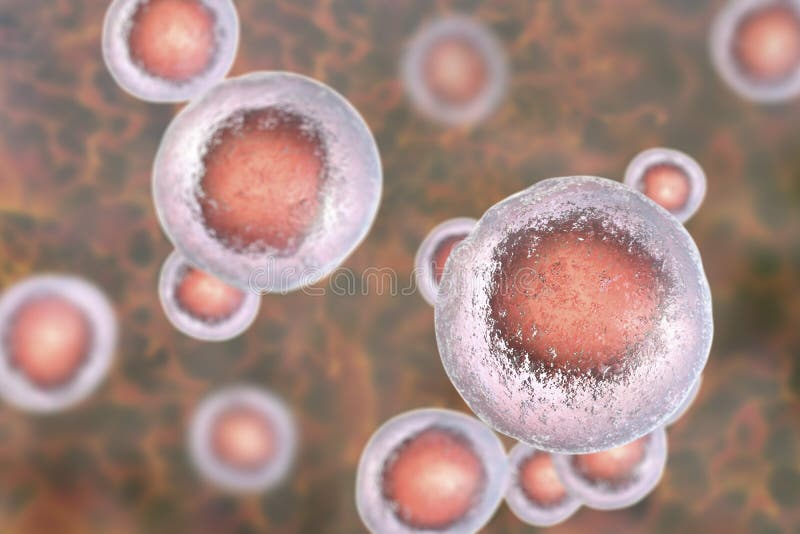 Menselijke cellen, illustratie royalty-vrije illustratie