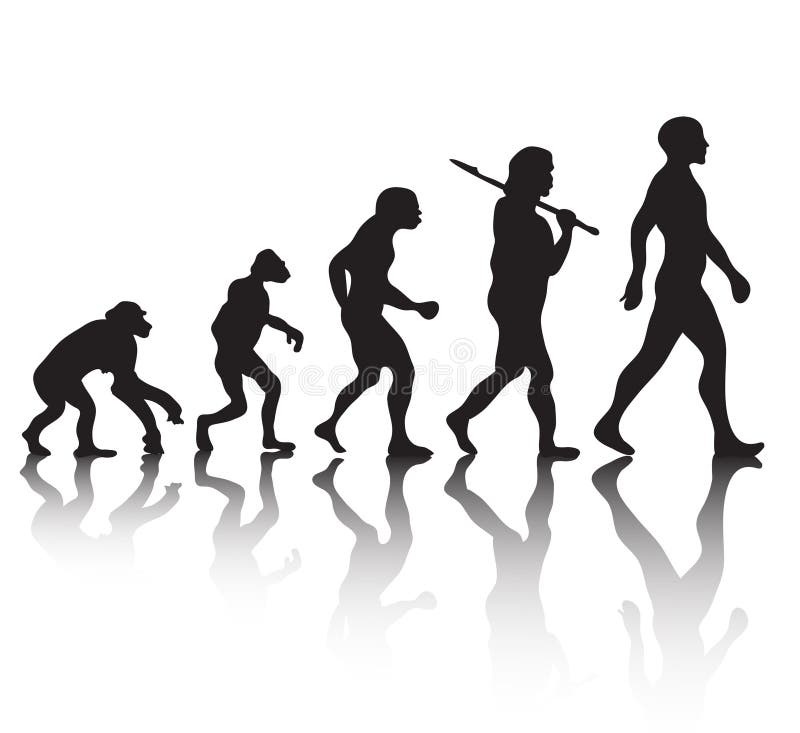 Menselijke evolutie vector illustratie Menselijke evolutie vector illustratie