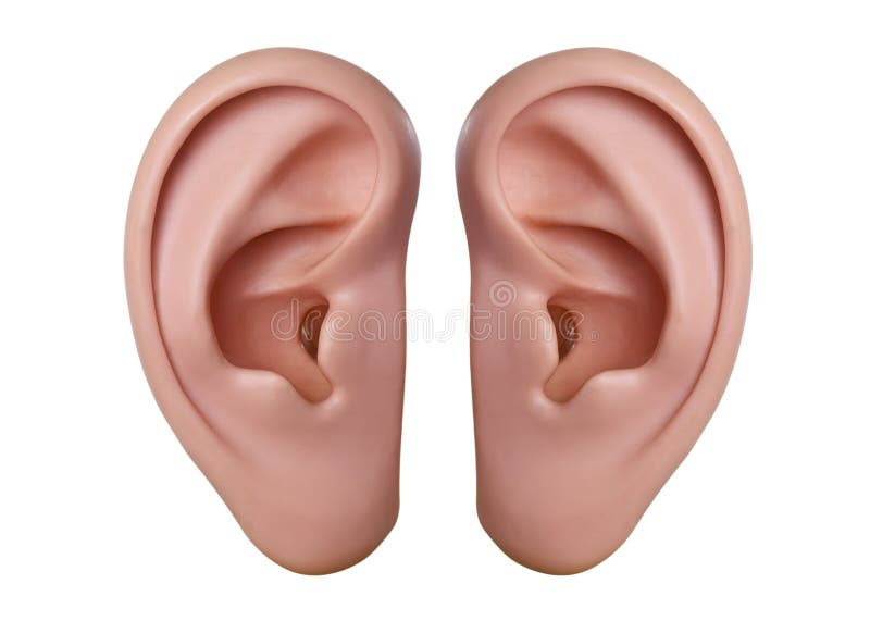 Menselijke oren
