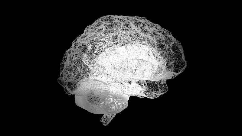 Menselijke witte hersenen op zwarte, de achtergrond van de wetenschapsanatomie De menselijke hersenen zijn als een hologram vlech