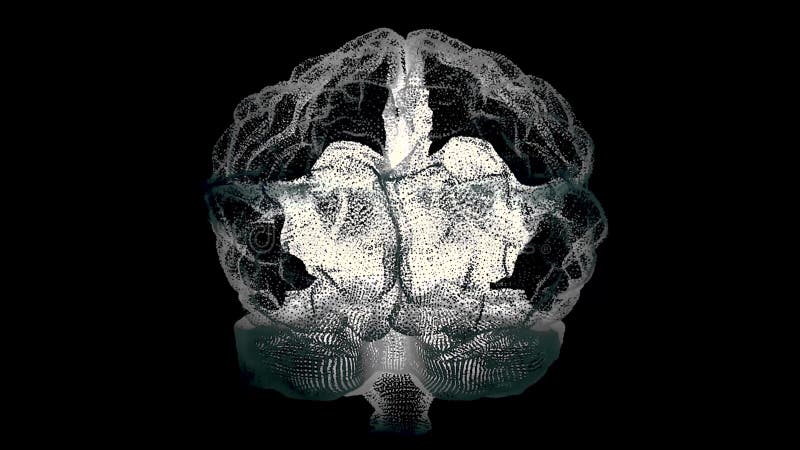 Menselijke witte hersenen op zwarte, de achtergrond van de wetenschapsanatomie De menselijke hersenen zijn als een hologram vlech