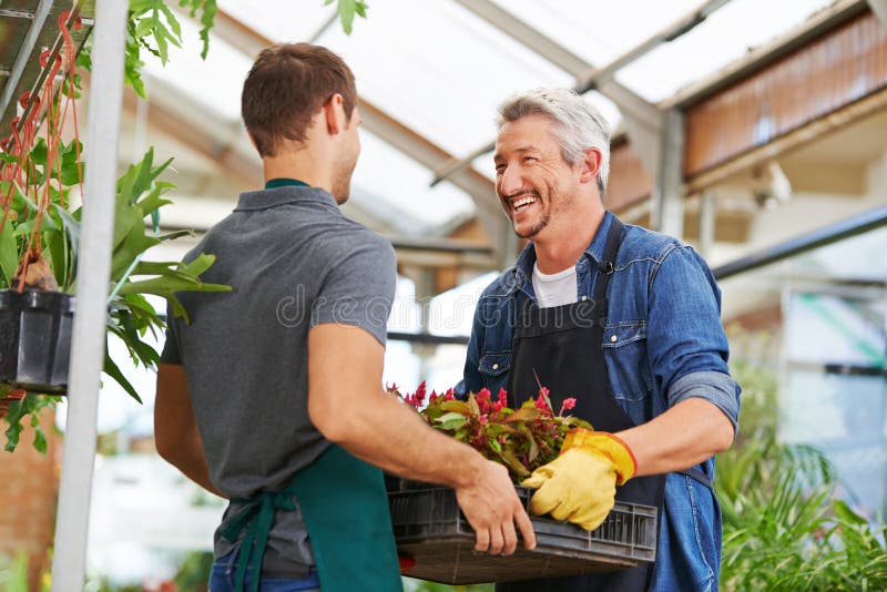 Mensen die als tuinman in kinderdagverblijfwinkel samenwerken royalty-vrije stock foto Mensen die als tuinman in kinderdagverblijfwinkel samenwerken royalty-vrije stock foto