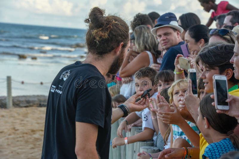 Mensen die babyschildpadden op Tamar-project in Praia do Forte in Brazili? waarnemen royalty-vrije stock afbeelding Mensen die babyschildpadden op Tamar-project in Praia do Forte in Brazili? waarnemen royalty-vrije stock afbeelding