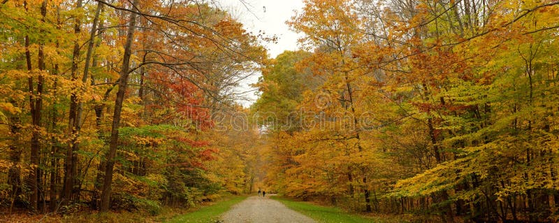 Mensen die door de Reserve van het het Noordenverdriet in Cleveland tijdens de herfst van 2016 lopen royalty-vrije stock foto's Mensen die door de Reserve van het het Noordenverdriet in Cleveland tijdens de herfst van 2016 lopen royalty-vrije stock foto's