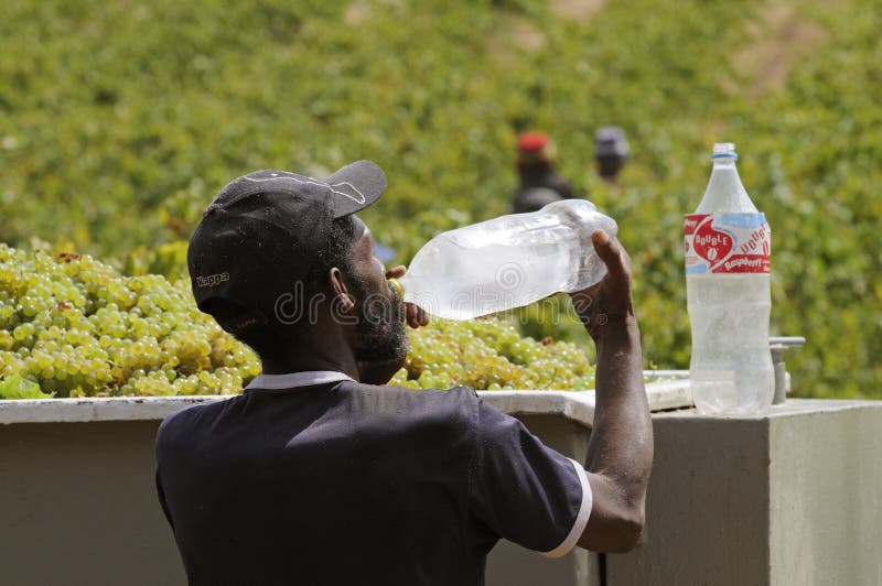Mensen drinkwater van een plastic fles stock afbeeldingen Mensen drinkwater van een plastic fles stock afbeeldingen